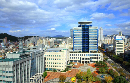 울산시청 울산시 제공